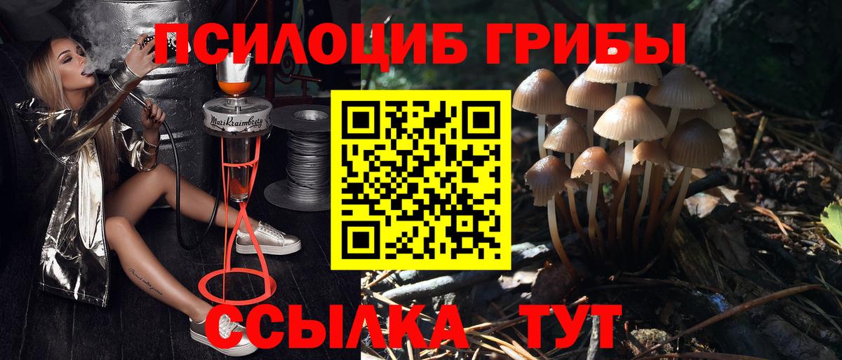 Галлюциногенные грибы мицелий Пятигорск